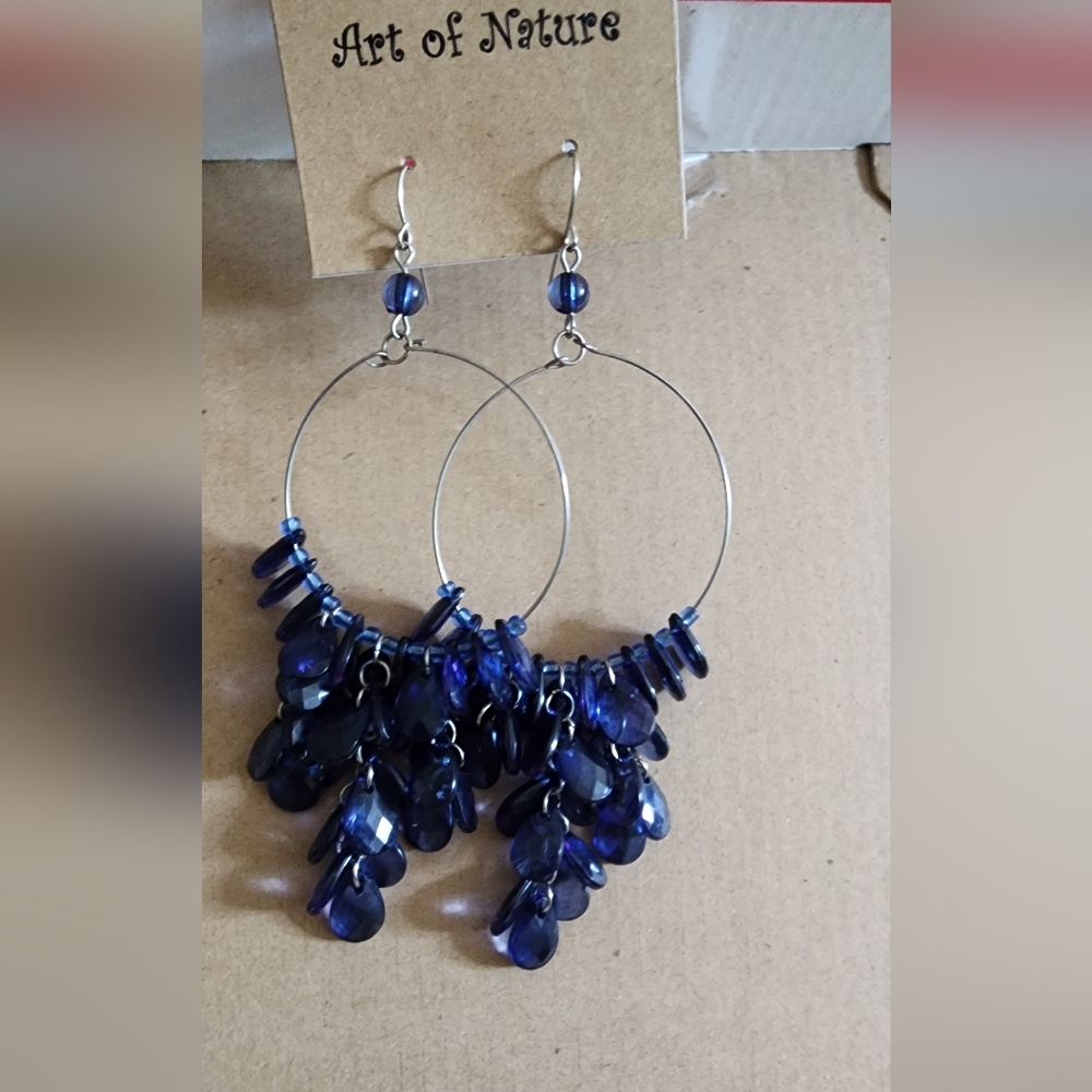 Silvertone and Blue Earrings